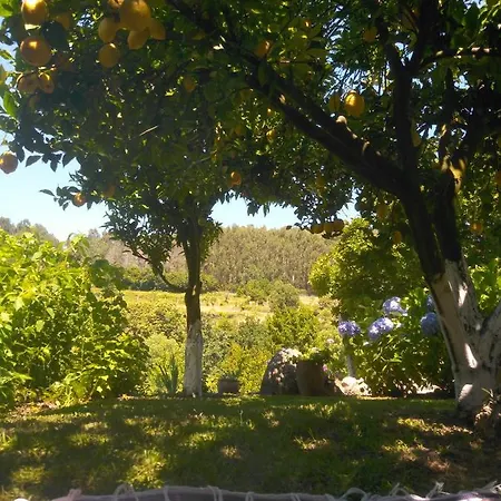 Quinta Da Chanca Holiday home *