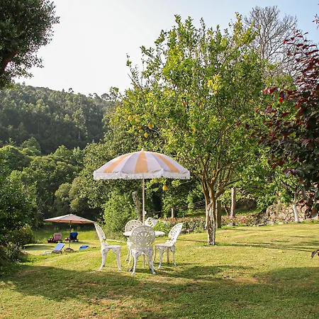 Quinta Da Chanca *